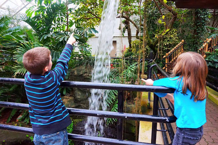 kids-w-the-waterfall-slide.jpg