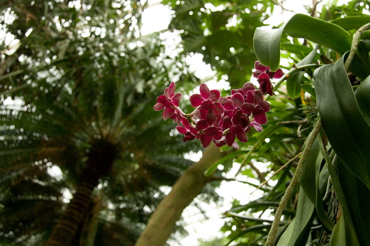 gardens 31sm2