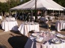 spring_wedding_reception