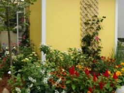 blumengarten_allotment_shed