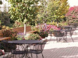 summer_annuals_terrace_garden
