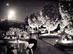 evening_reception_terrace_garden