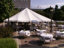 spring_reception_terrace_garden